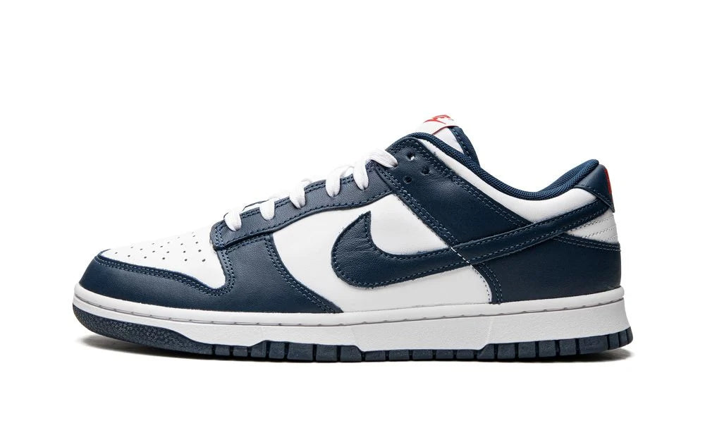 Nike Dunk Low Retro Valerian Blue